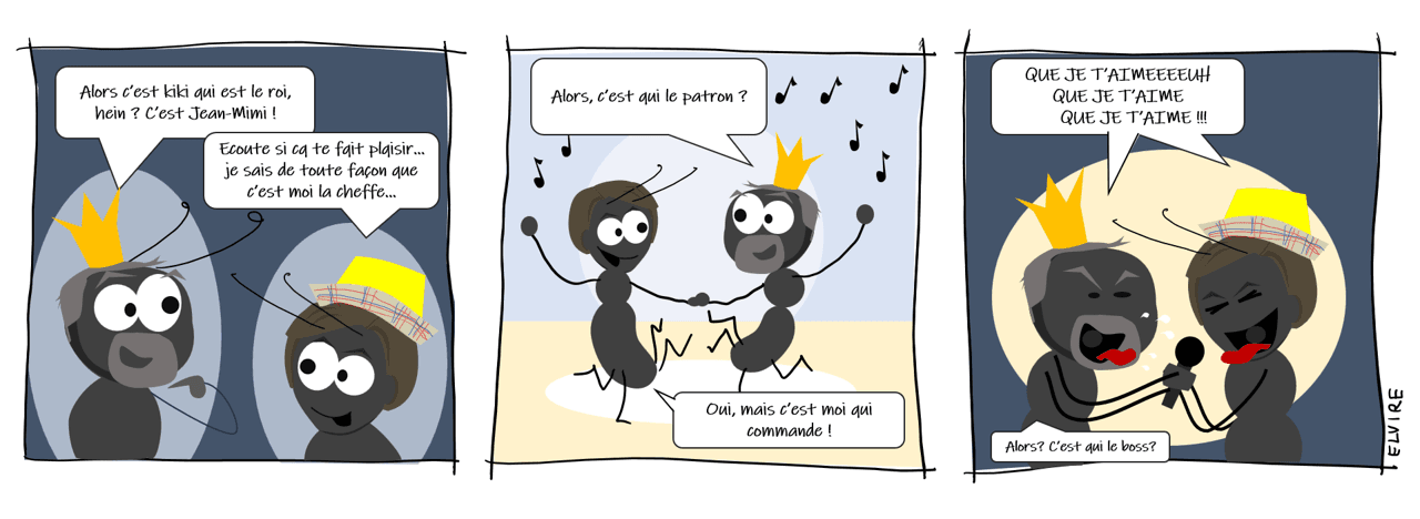 BD C'est qui la patronne ?
