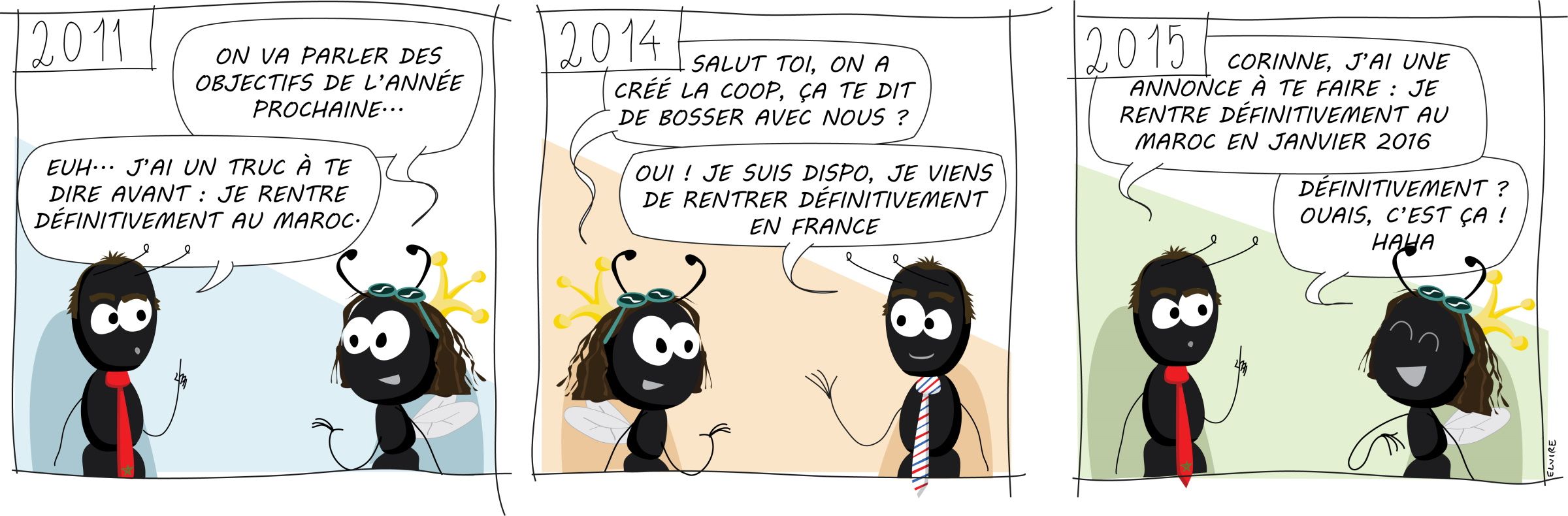 BD Temporairement définitif