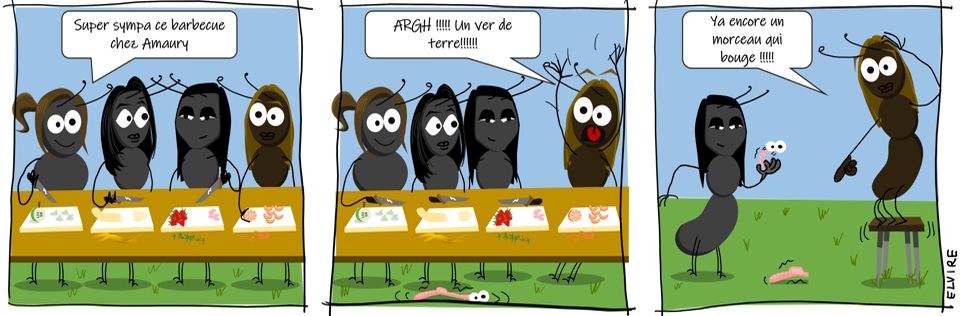 BD anthelmophobie...